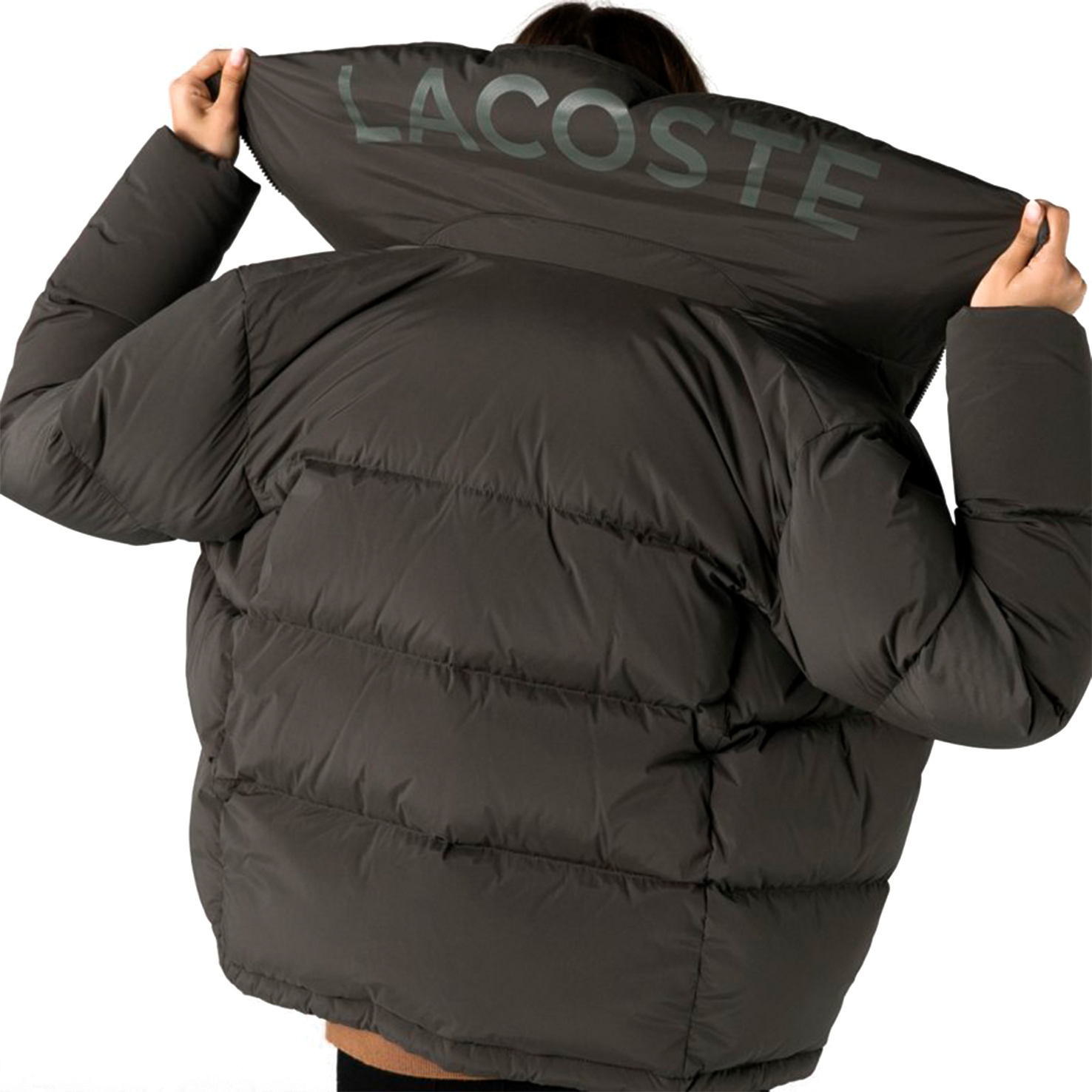 фото Куртка lacoste