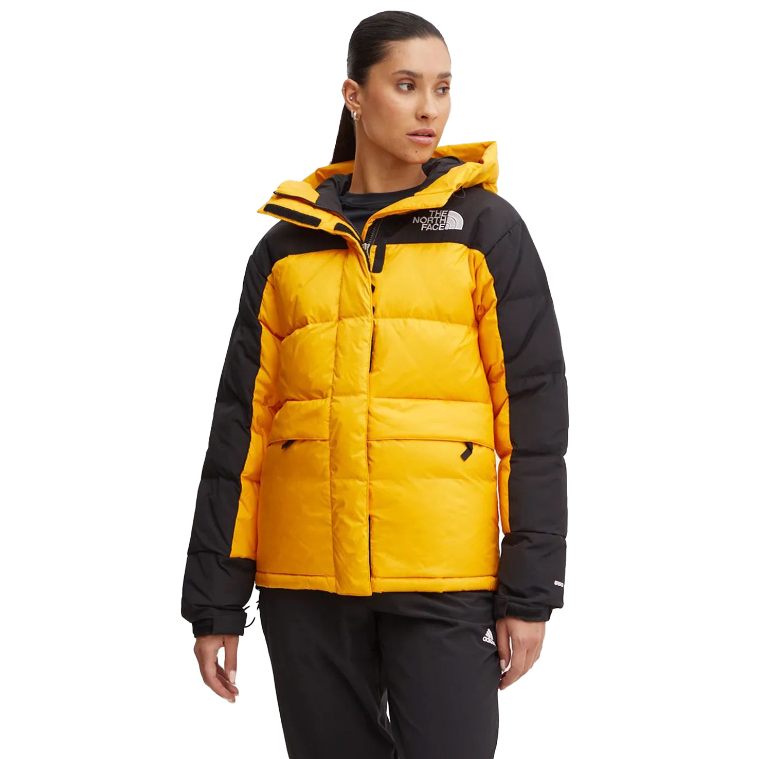 Himalayan DOWN PARKA