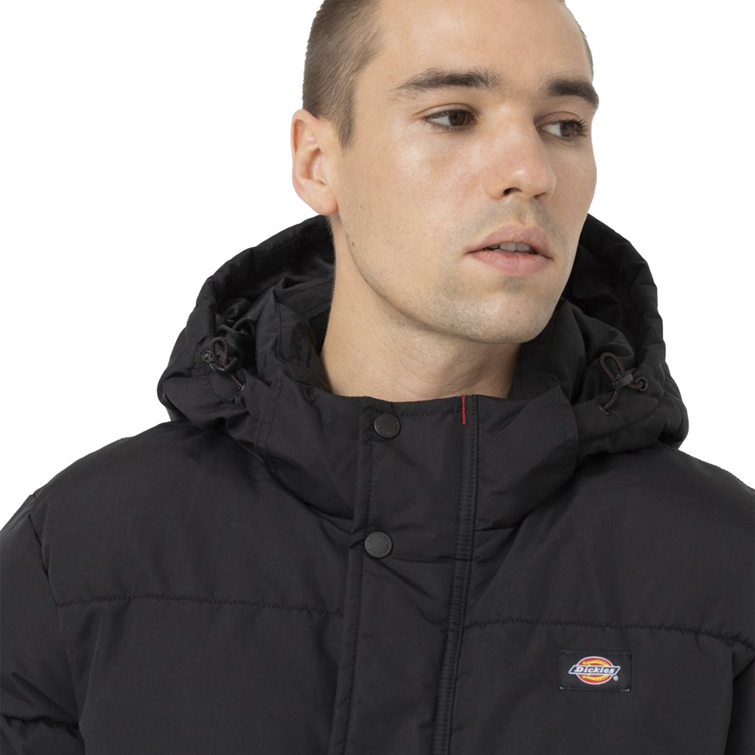GLACIER VIEW PUFFER 4