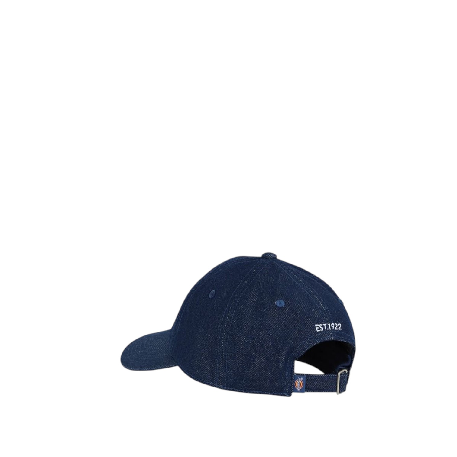 DENIM DAD CAP 2