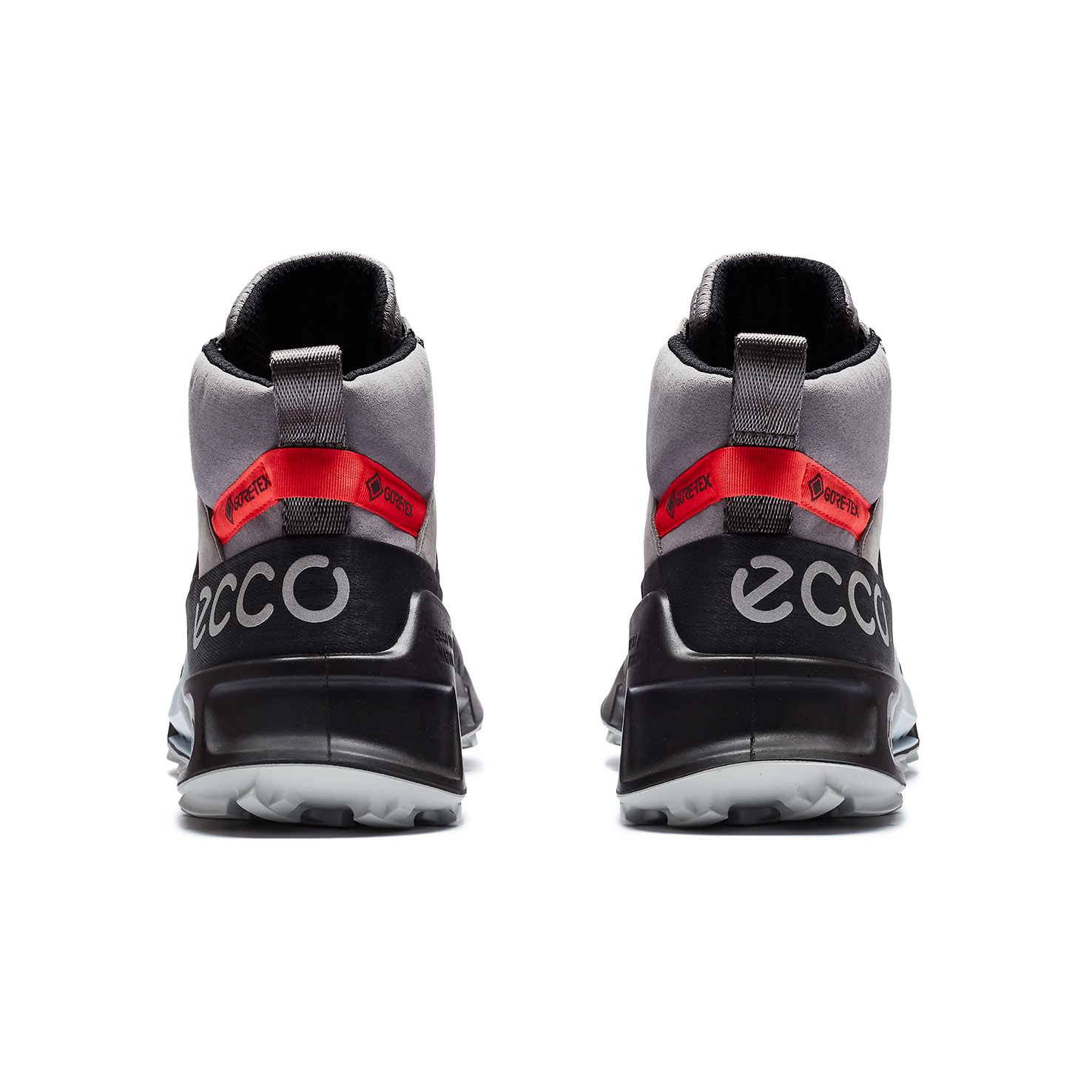 BIOM 2.1 X MOUNTAIN 4