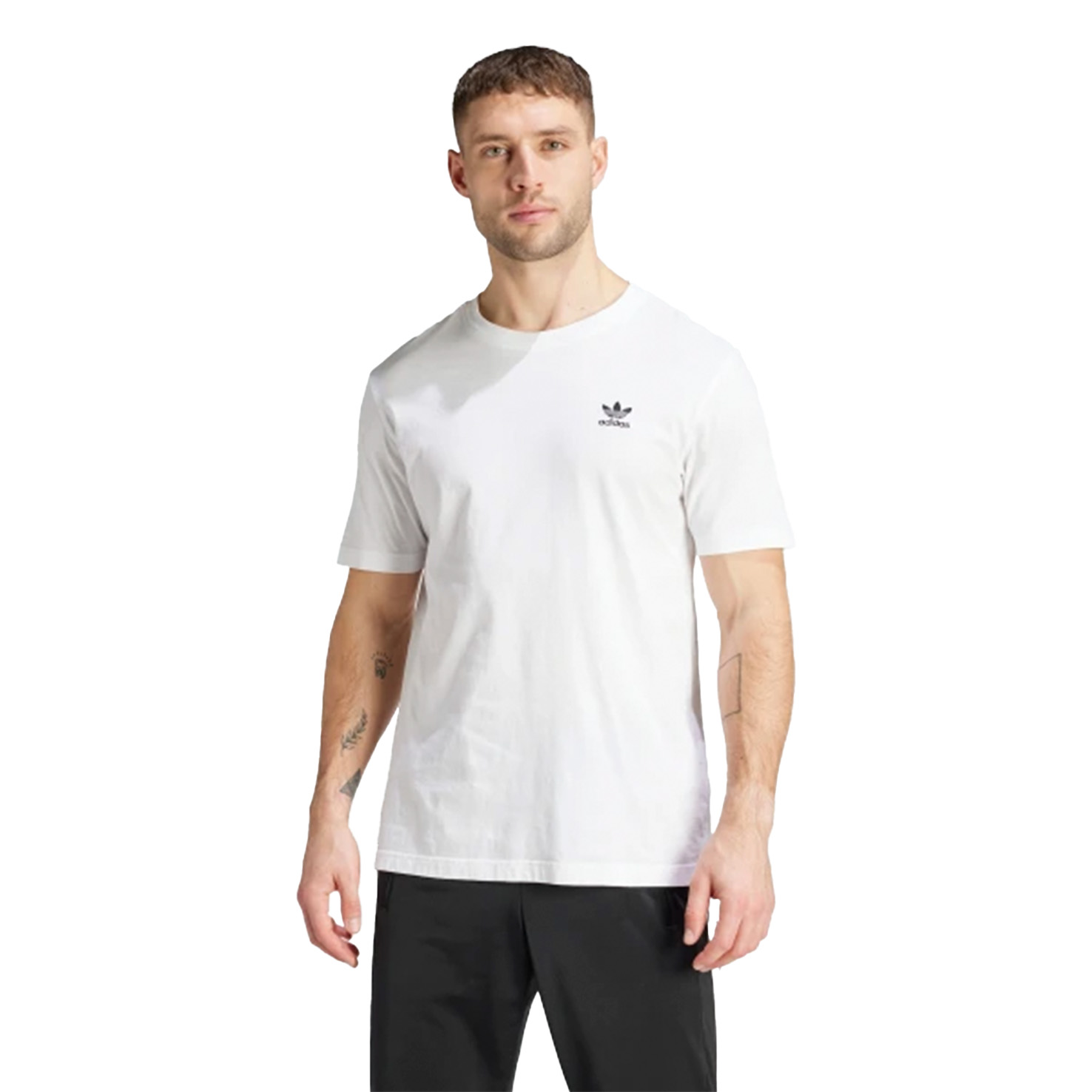 TREFOIL ESSENTIALS