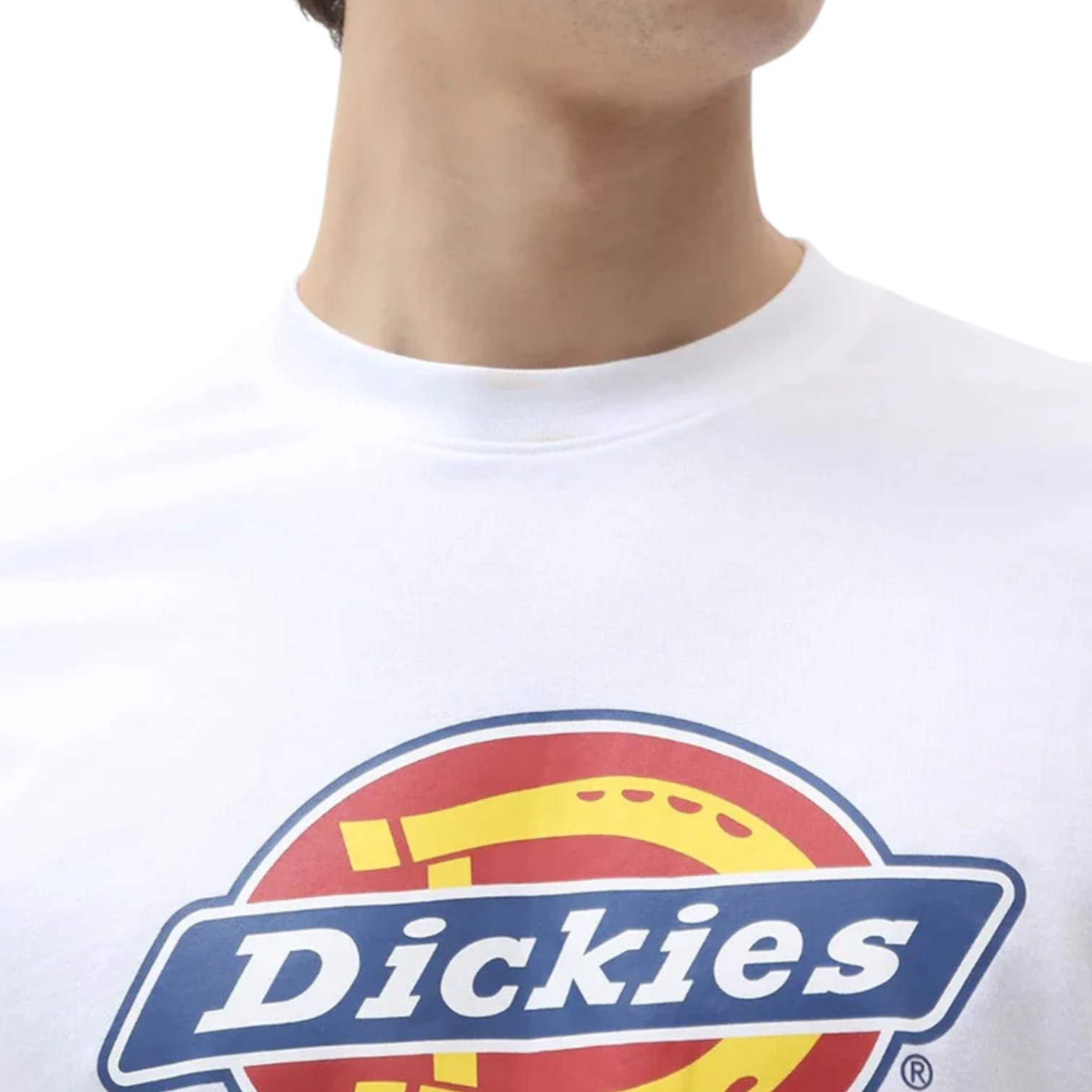 DICKIES ICON SS TEE 3