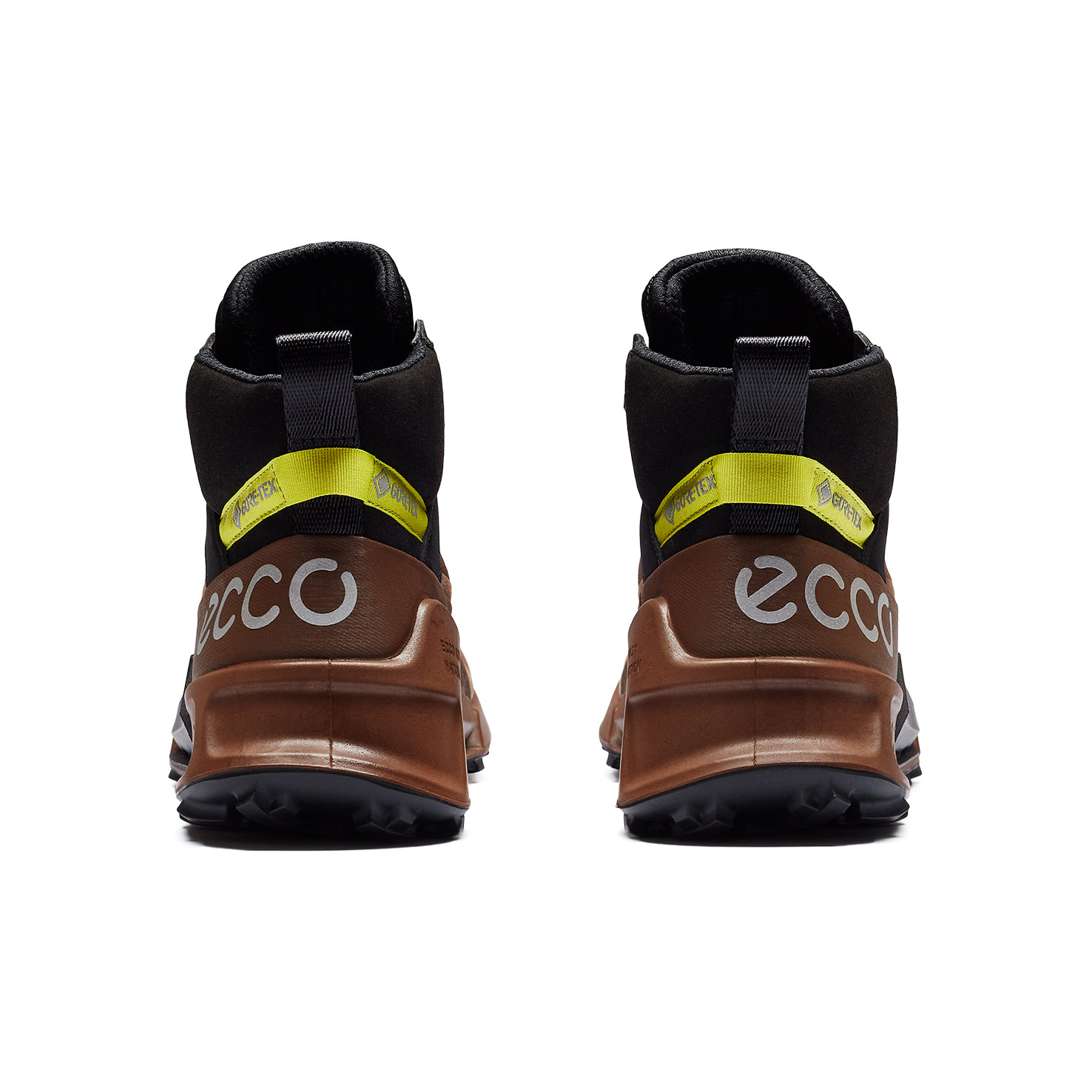 BIOM 2.1 X MOUNTAIN 4