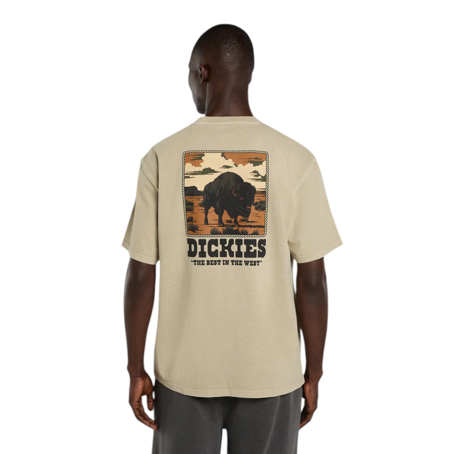 DARRTOWN SS TEE