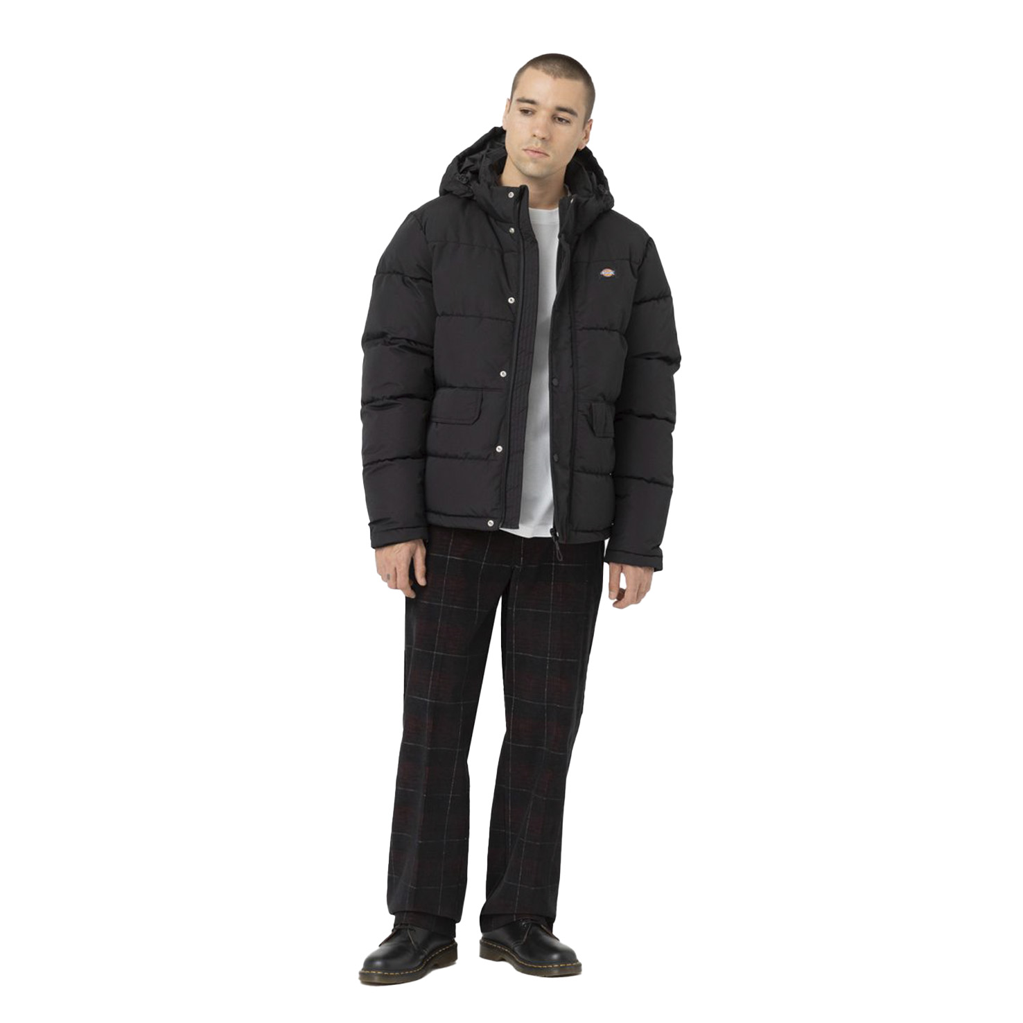 GLACIER VIEW PUFFER 3