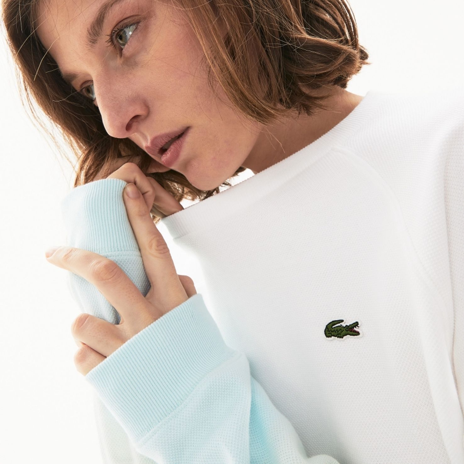 фото Толстовка lacoste