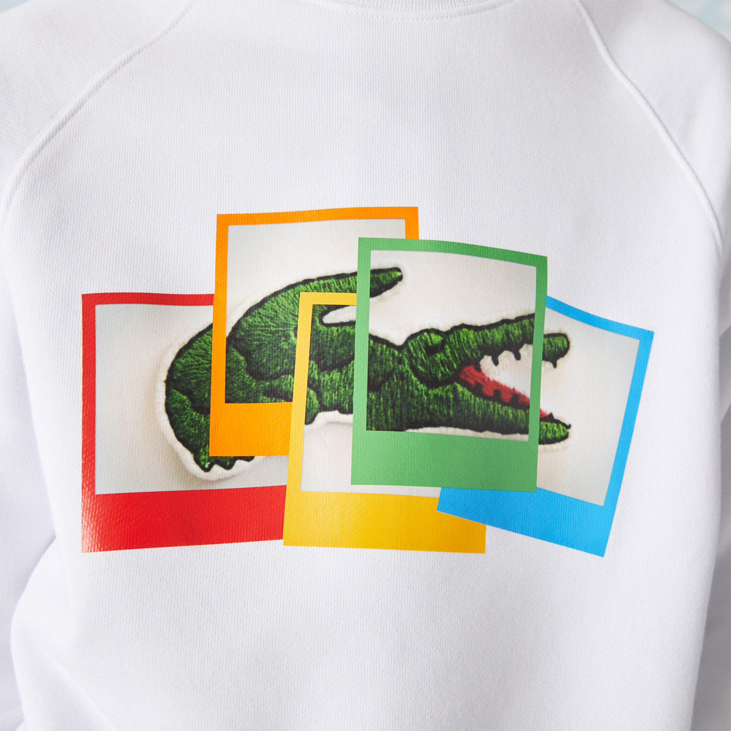 фото Толстовка lacoste