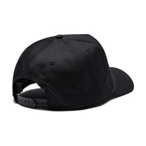 Кепка Goorin brothers Panther 100