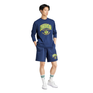 Мужские шорты adidas VRCT SHORTS
