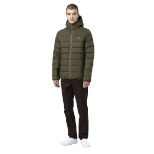 Мужская куртка Dickies WALDENBURG MID LAYER