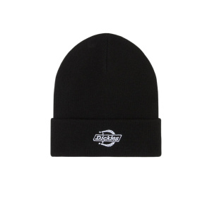 Мужская шапка Dickies SUMMERDALE BEANIE