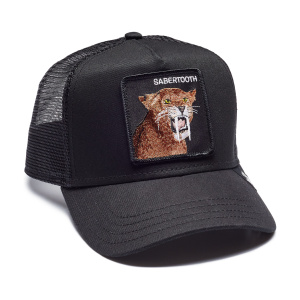 Кепка Goorin brothers SABERTOOTH