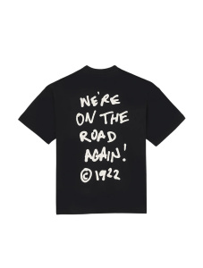 Мужская футболка Dickies SNEEDVILLE TEE SS