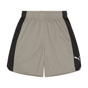 Мужские шорты PUMA Shot Blocker Short