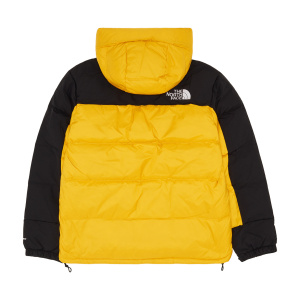Мужская куртка The North Face Himalayan DOWN PARKA