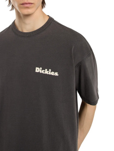 Мужская футболка Dickies SLAYDEN GD TEE SS