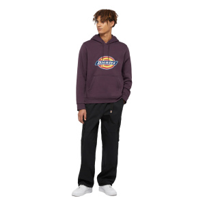 Мужская толстовка Dickies ICON LOGO HOODIE