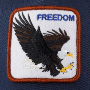 Кепка Goorin brothers The Freedom Eagle