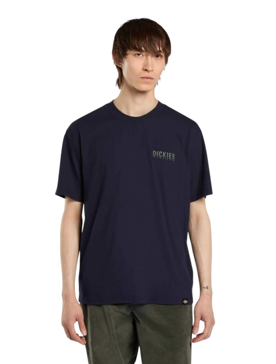 Мужская футболка Dickies PELHAM TEE SS