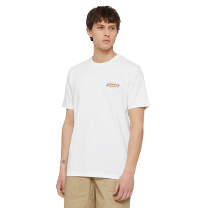 Мужская футболка Dickies SS RUSTON TEE