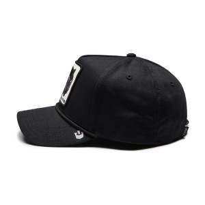 Кепка Goorin brothers Panther 100