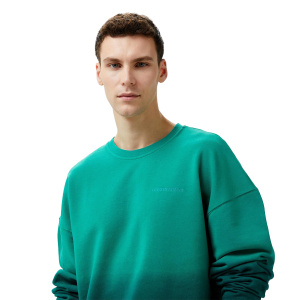 Мужская толстовка Les Benjamins SWEATSHIRT 304