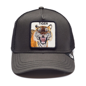 Кепка Goorin brothers EYE OF THE TIGER