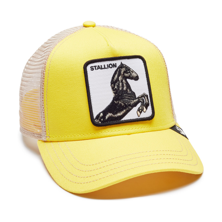 Кепка Goorin brothers STALLION