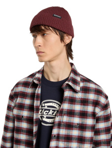 Мужская шапка Dickies WOODWORTH BEANIE