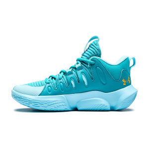 Женские кроссовки Under Armour FLOW BREAKTHRU 4