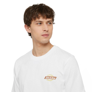 Мужская футболка Dickies SS RUSTON TEE