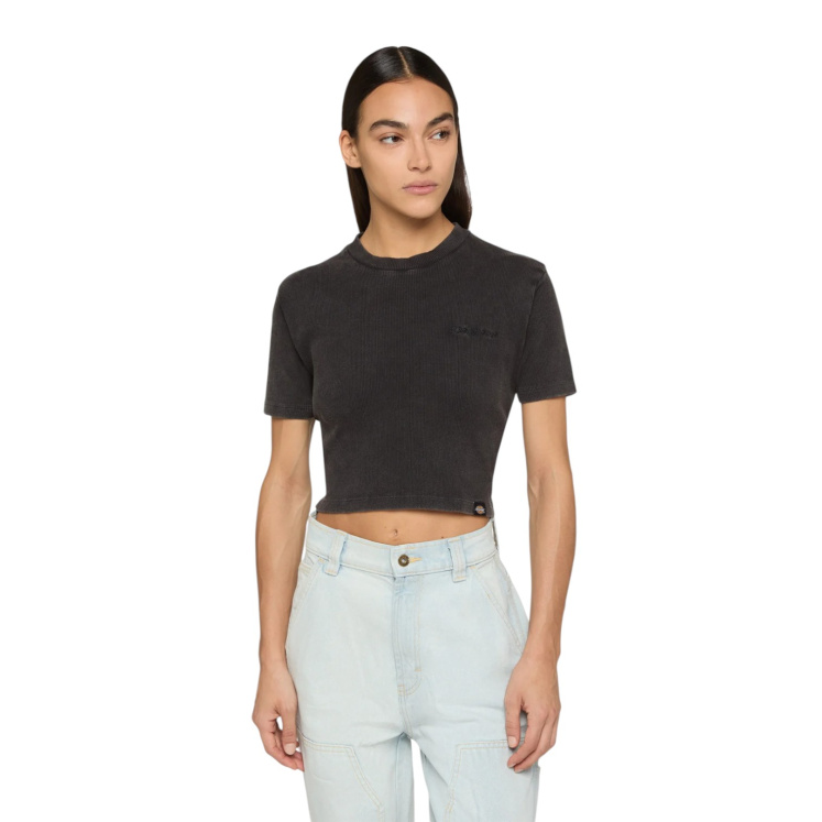 Женская футболка Dickies PLENTYWOOD SS TEE W