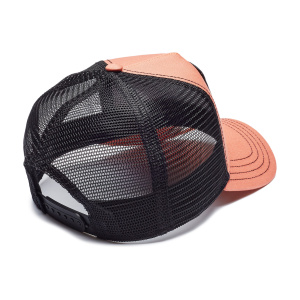 Кепка Goorin brothers COUGAR