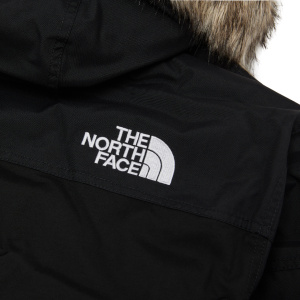 Мужская куртка The North Face MC MURDO 2