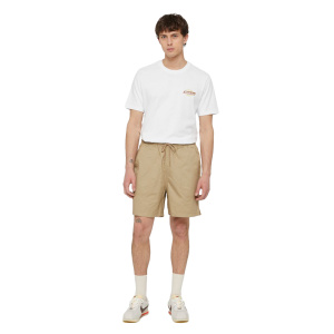 Мужская футболка Dickies SS RUSTON TEE