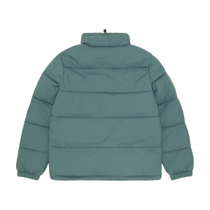 Мужская куртка Dickies WALDENBURG JACKET