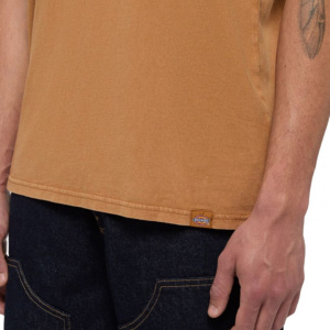 Мужская футболка Dickies PLENTYWOOD TEE SS