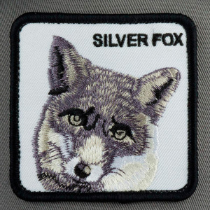 Кепка Goorin brothers FOX