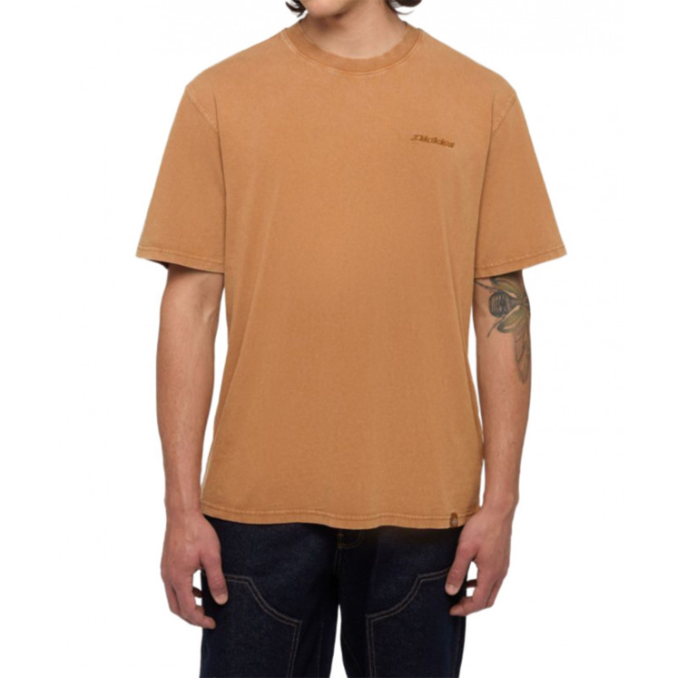 Мужская футболка Dickies PLENTYWOOD TEE SS
