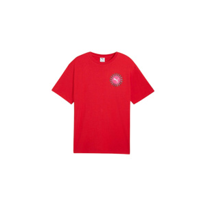 Мужская футболка PUMA SUNSET DRIVE