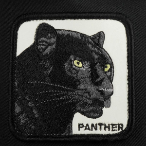 Кепка Goorin brothers The Panther