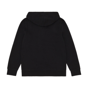 Мужская толстовка diadora HOODIE FZ CORE