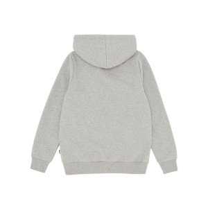 Мужская толстовка Dickies ICON LOGO HOODIE