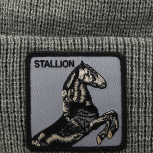 Шапка Goorin brothers STALLION