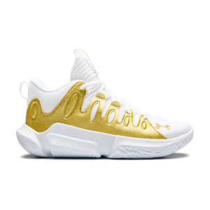 Женские кроссовки Under Armour FLOW BREAKTHRU 4