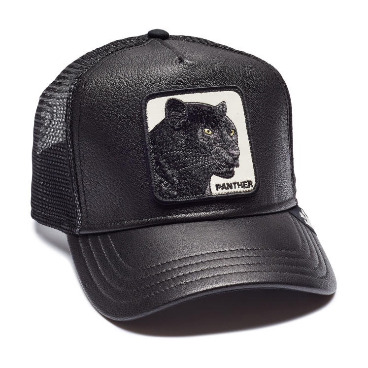 Кепка Goorin brothers TRUTH WILL PREVAIL