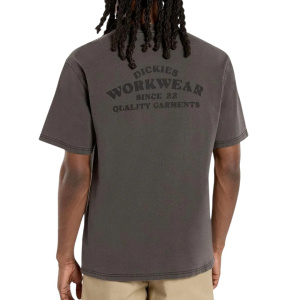 Мужская футболка Dickies CHRISTIANA GD TEE SS