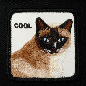 Кепка Goorin brothers BLACK KIND CAT