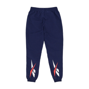 Мужские спортивные штаны Reebok Classics Vector Track Pants